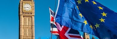 Centre for Brexit Studies banner