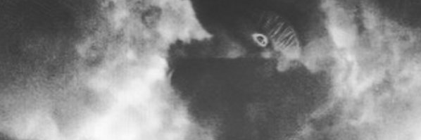 Bobzypost's profile banner image