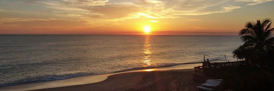 Mario Marsans banner