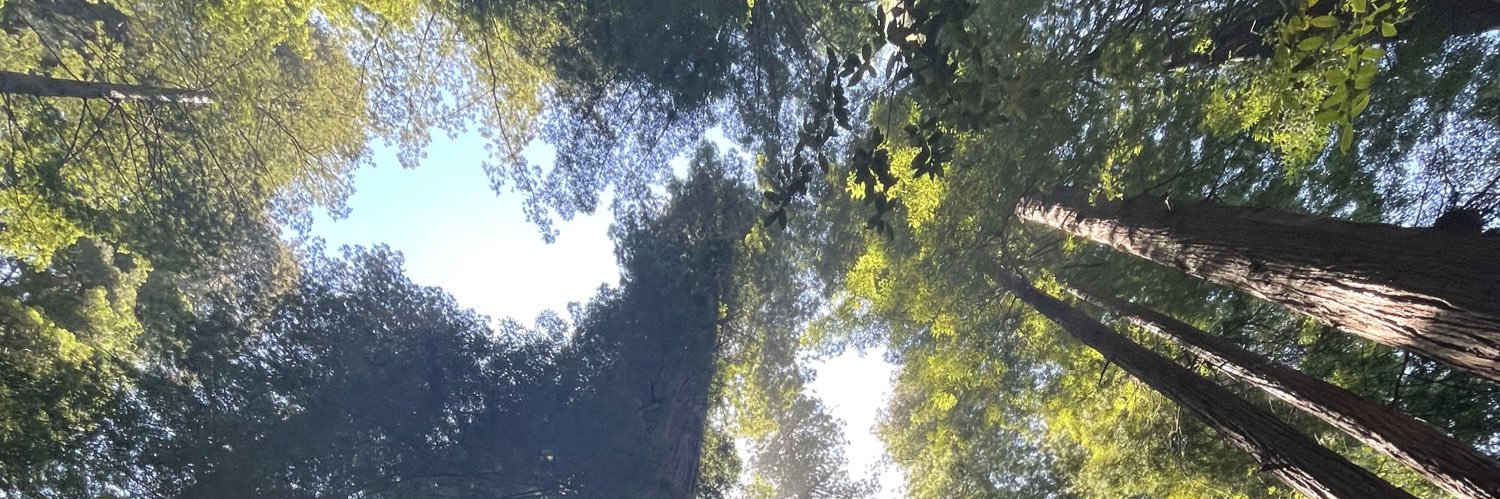 Adwaita Parab banner