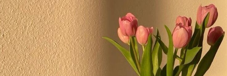 🪬وَٱلضُّحَىٰ🐬 banner