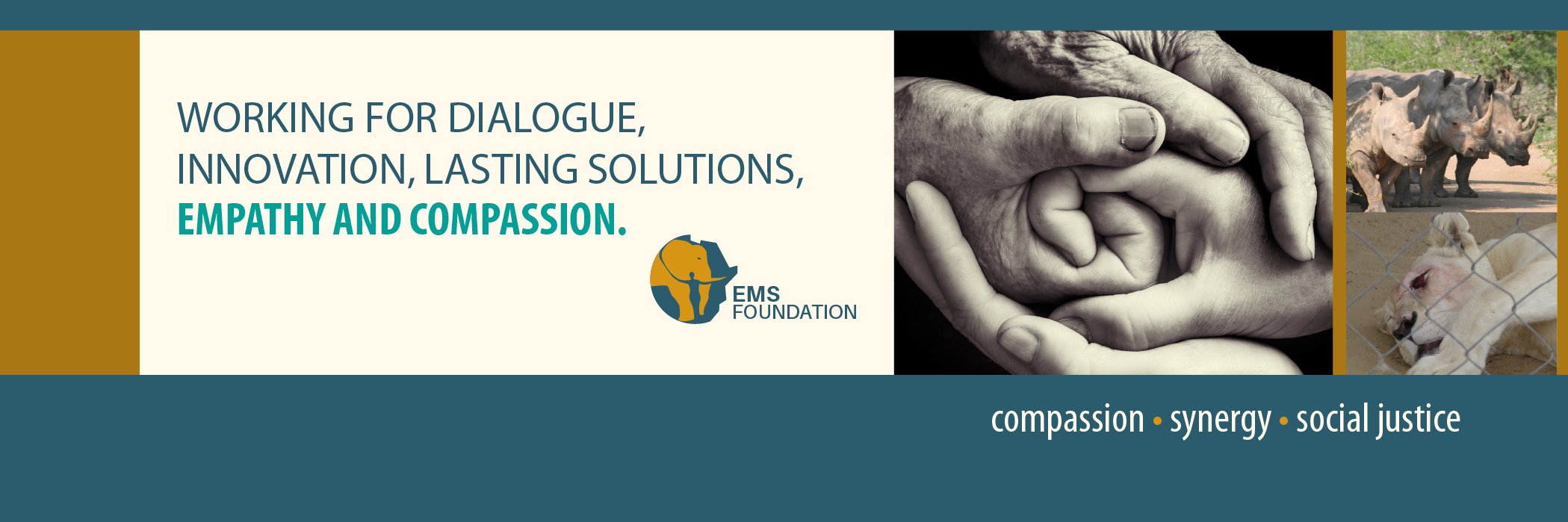 EMS Foundation banner