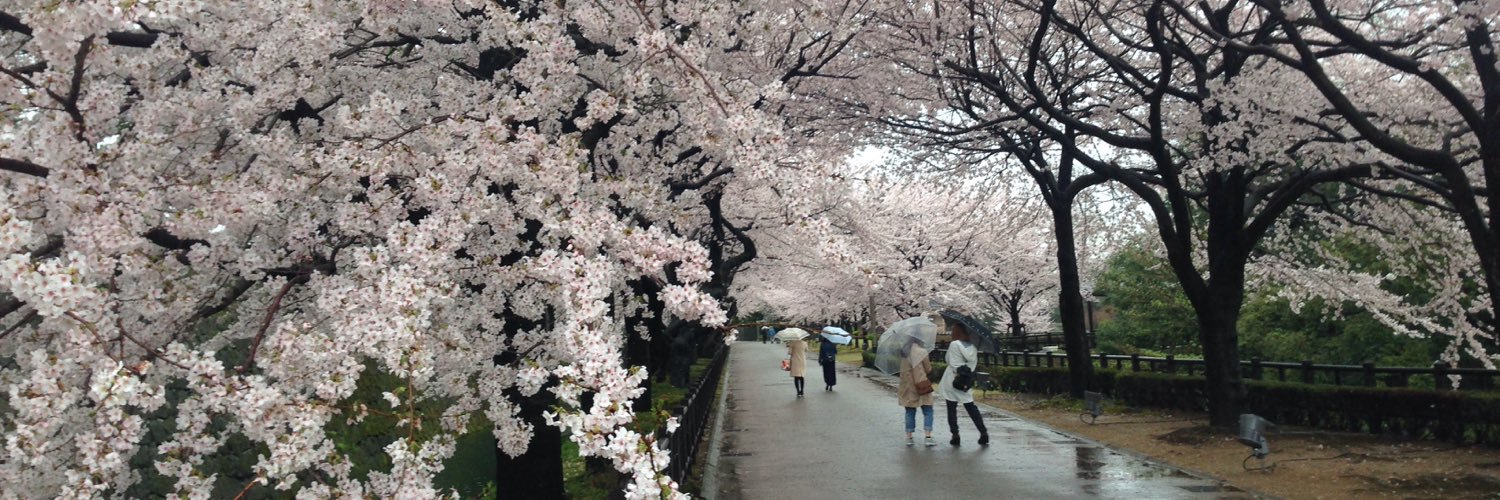 iuzotakeda's profile banner image
