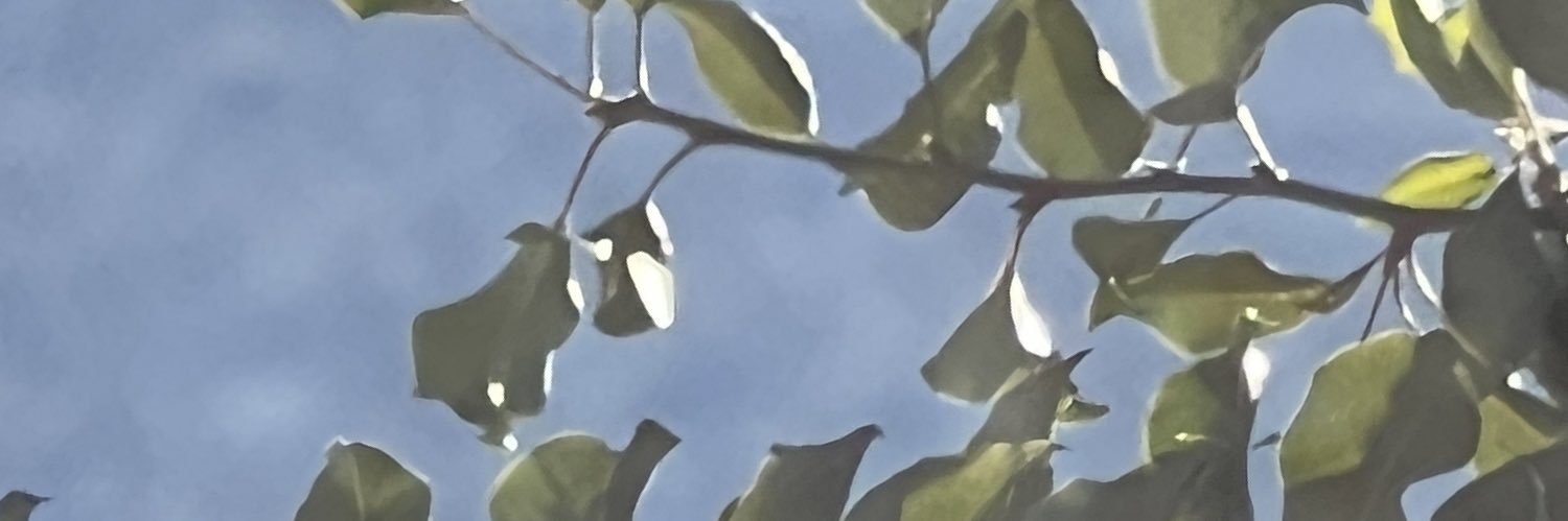 yesiamzack's profile banner image