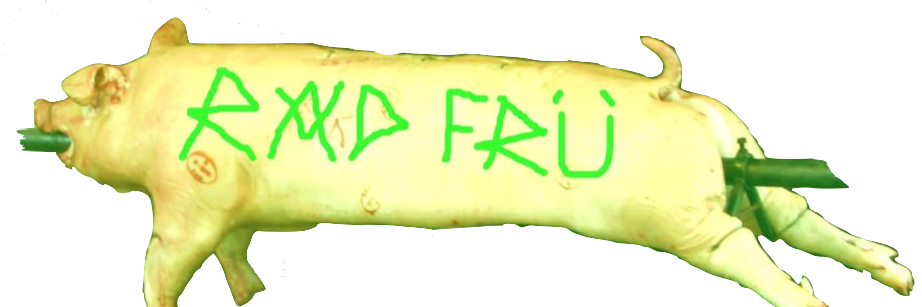 RADFRU's profile banner image