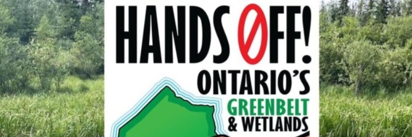 Belkinson 💙 banner