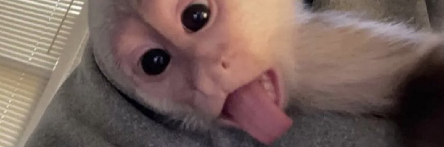 BarretoJaum's profile banner image