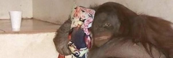 AWS Cloud Practitioner banner