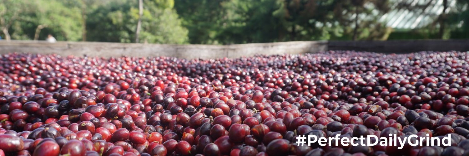 Perfect Daily Grind banner