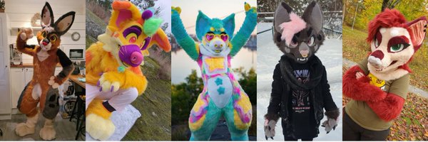 whizmi Profile Banner