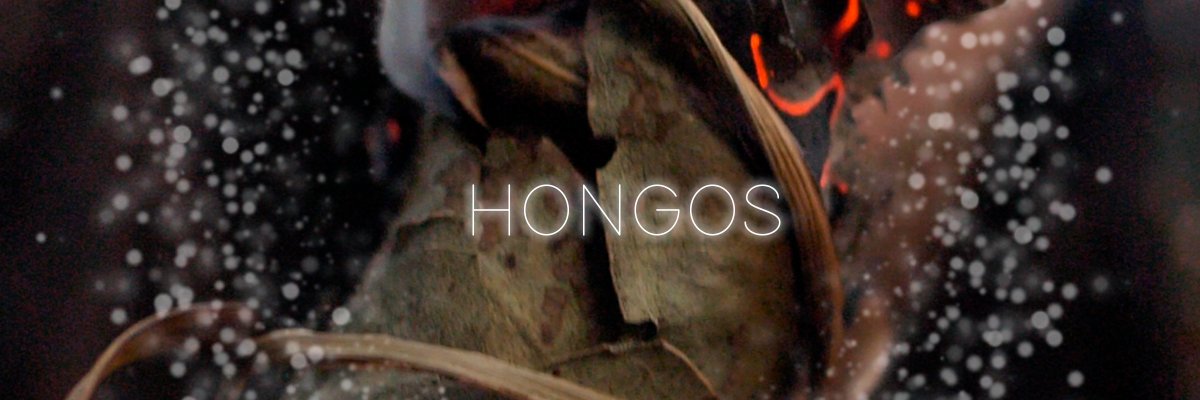 Pazquintana's profile banner image