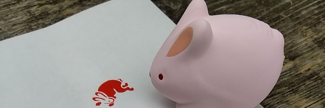 pukapukapuu's profile banner image