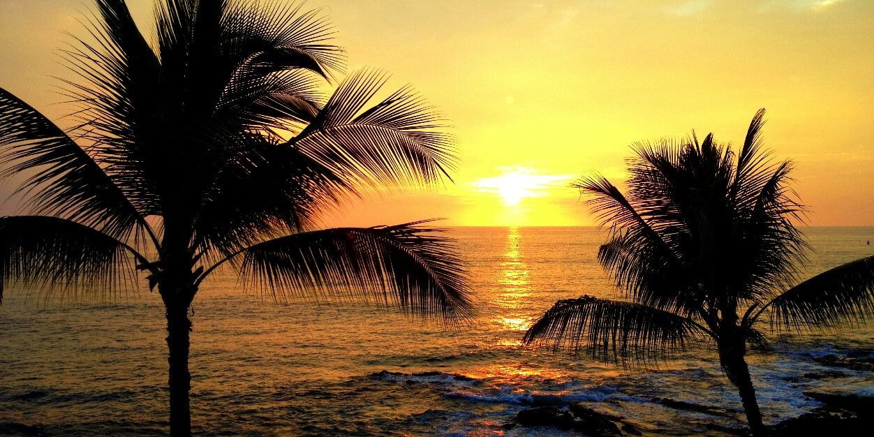 Adriel Bacon Young banner