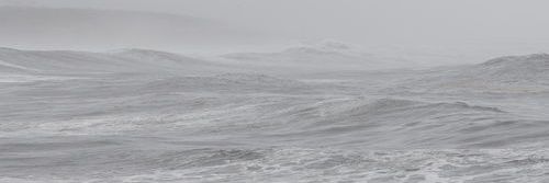 liceska's profile banner image
