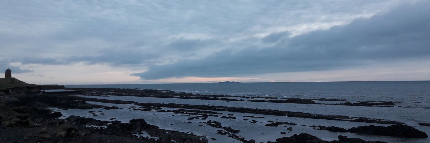 Alex Drace-Francis banner