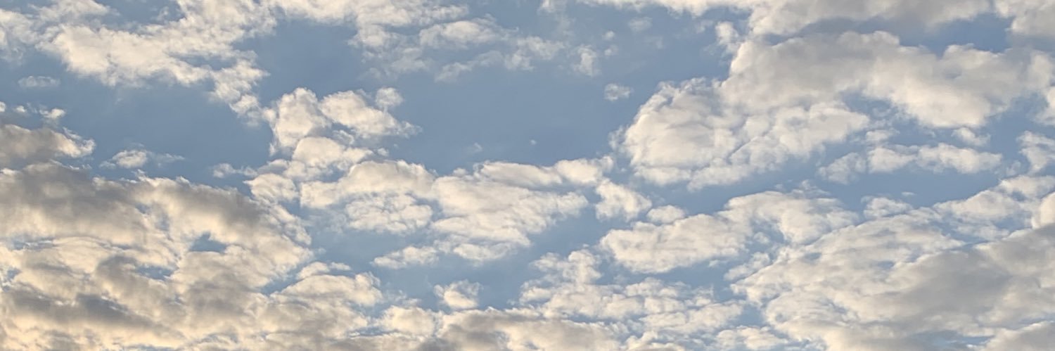 AmyShigo's profile banner image