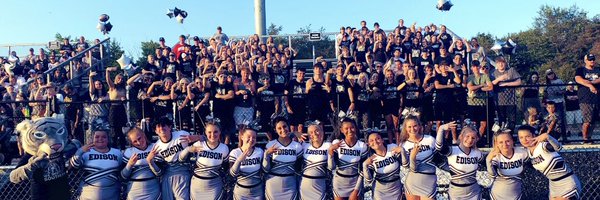 EdisonSection Profile Banner