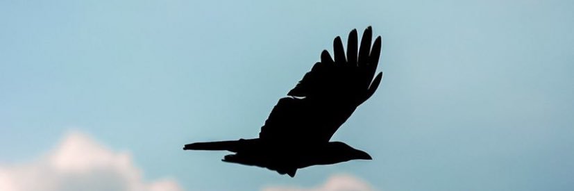 عشيري 🇸🇦 banner