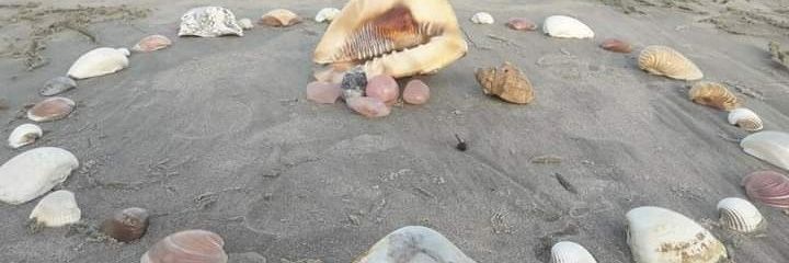 Luender Machado✊🏿 banner