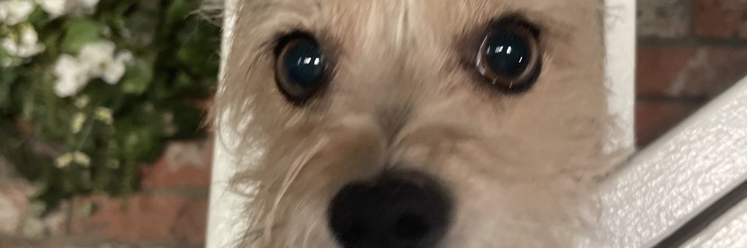 AmberCheyenne__'s profile banner image
