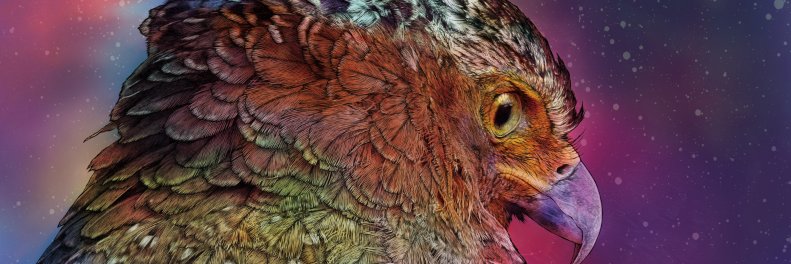 riverkg17's profile banner image