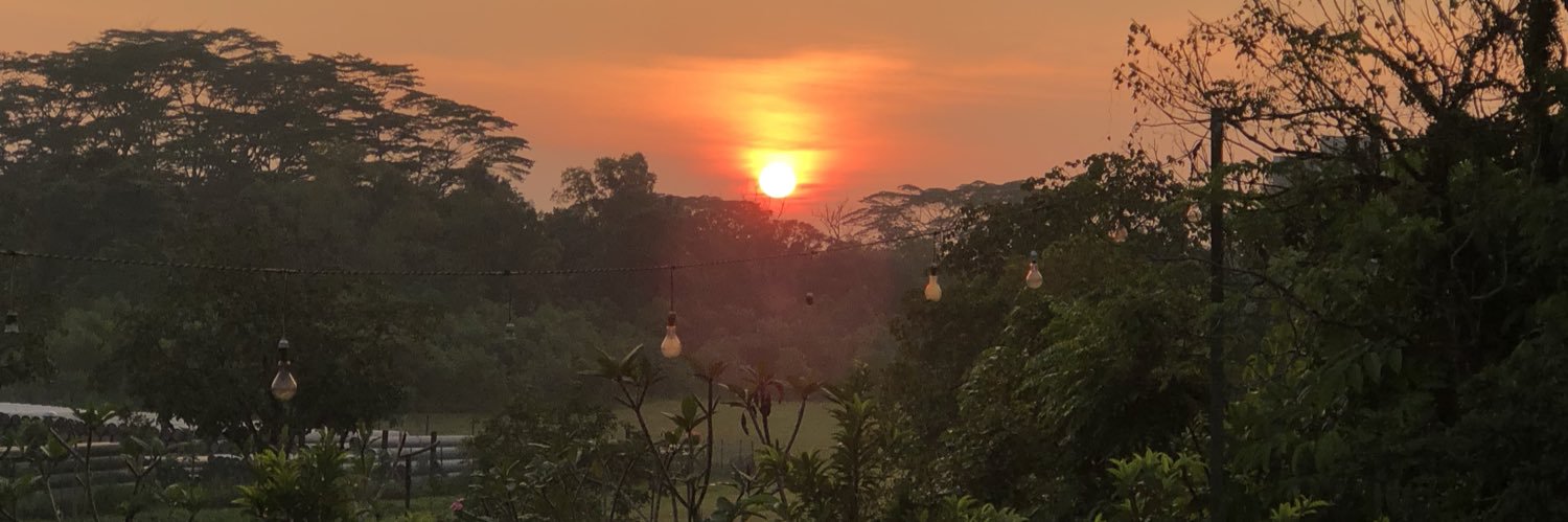 sijingggg's profile banner image