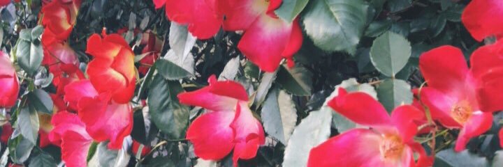sk302509's profile banner image