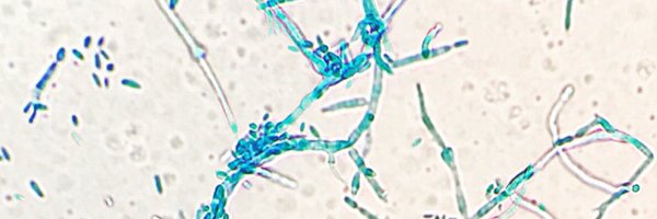 AmyBrother10 Profile Banner