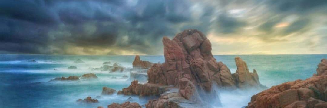 elisa castro Freijeiro banner