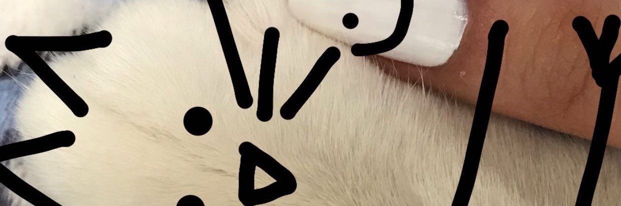 𝐴𝑙𝑒 banner