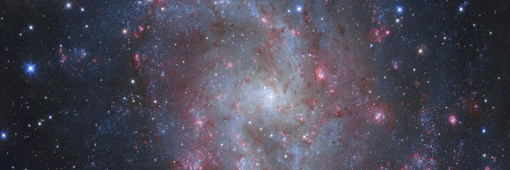 Vincent Carignan banner