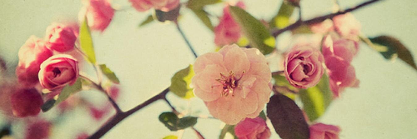 vanekmt's profile banner image