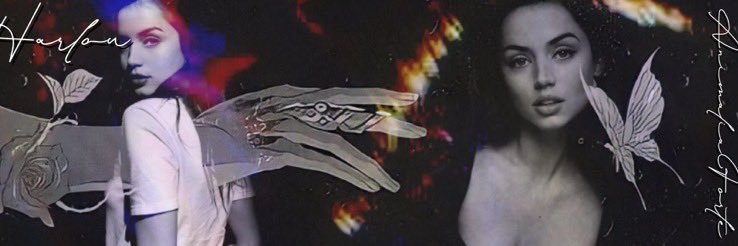 Harlow Gallo banner