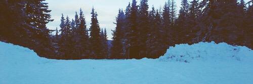 erinnmcdonald's profile banner image