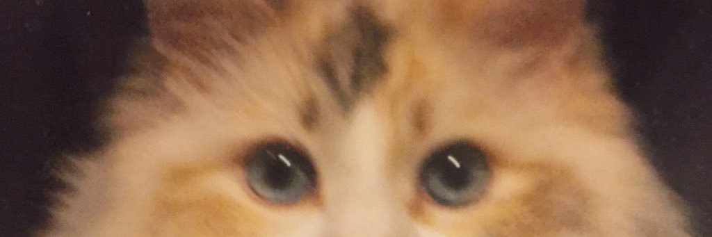 upnuzz's profile banner image