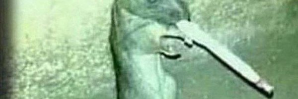 wheasee Profile Banner