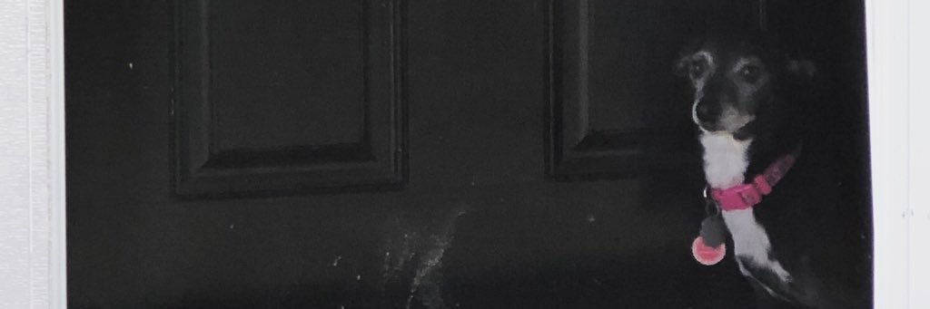 AHiskes's profile banner image