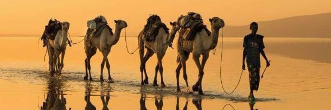 سامي بن عمر الحصيّن banner