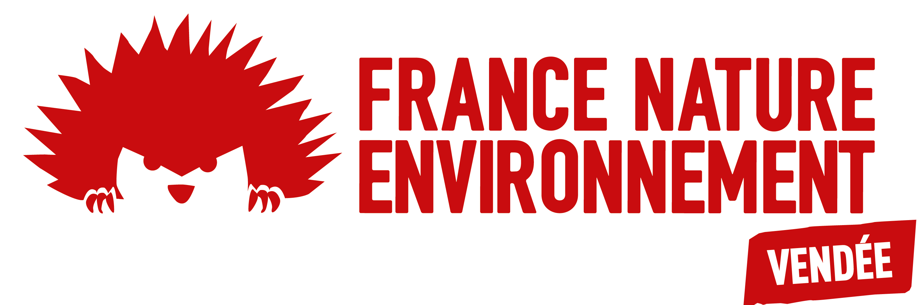 fne85's profile banner image