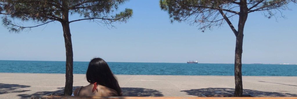 Ale banner