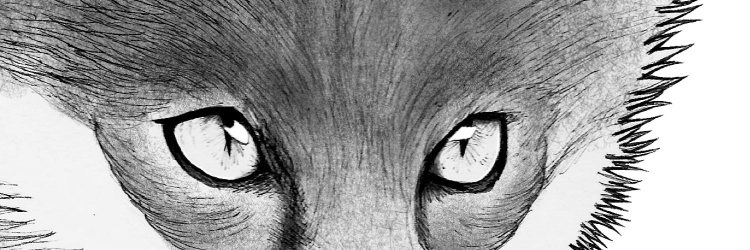 Awe Howler (band) banner