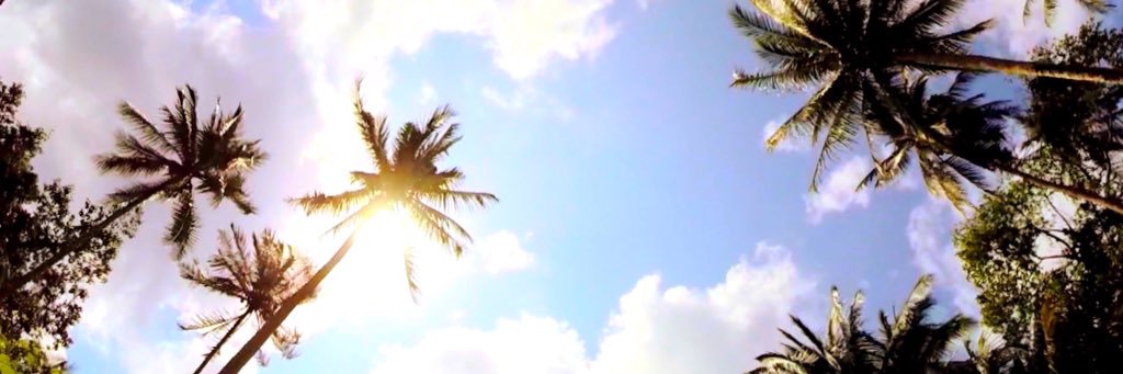 ari banner