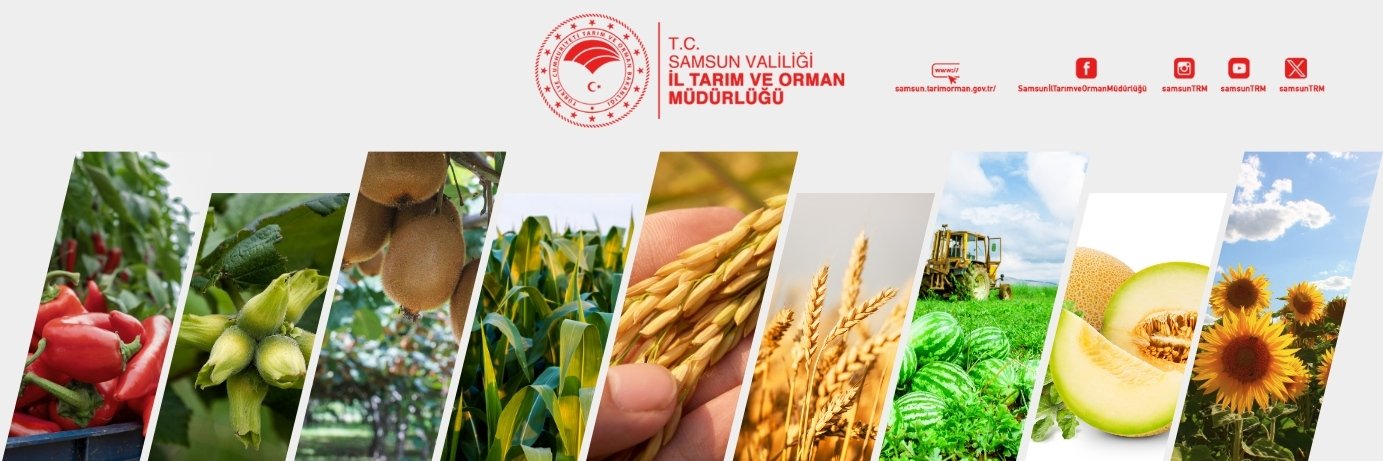 SamsunTRM's profile banner image