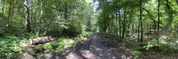 okome_nathan Profile Banner