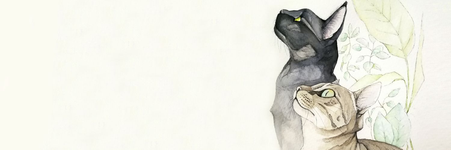 yonescris's profile banner image