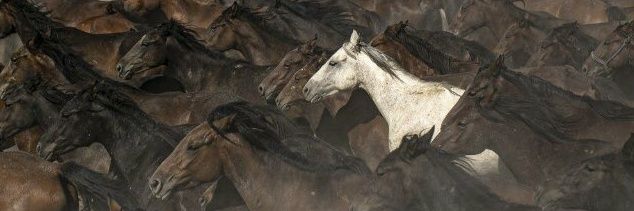 Yiğit KAPLAN banner