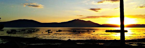 Kyt_Zia Profile Banner