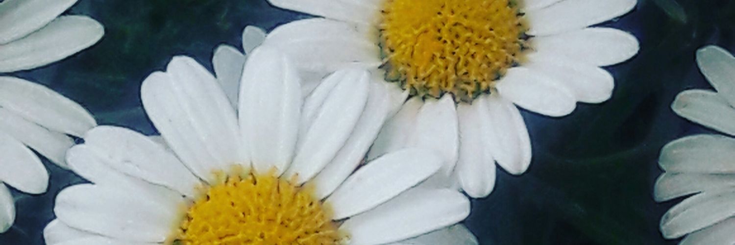 ℙ𝕠𝕡𝕡𝕪𝕕𝕣𝕖𝕒𝕞𝕤🌹 banner