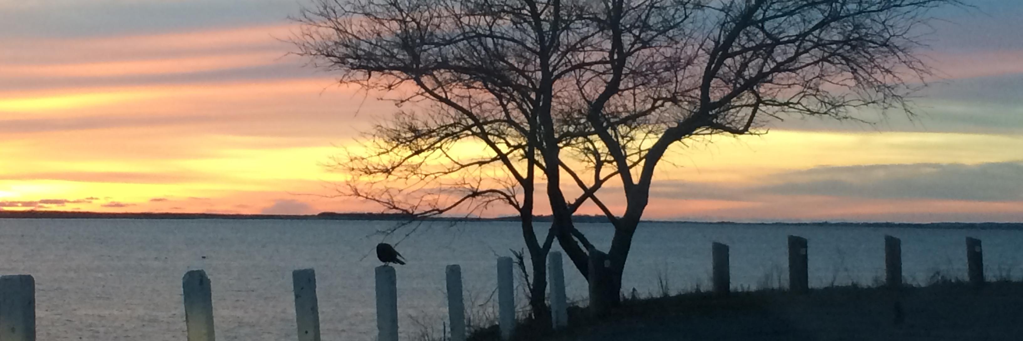 Laurie_bot's profile banner image