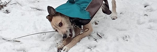 Gillian2277 Profile Banner